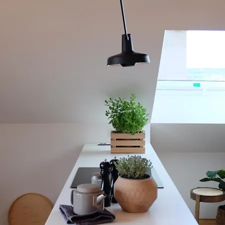 Design Apartments 